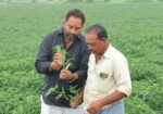 SIVA SAI CROP PROTECTION