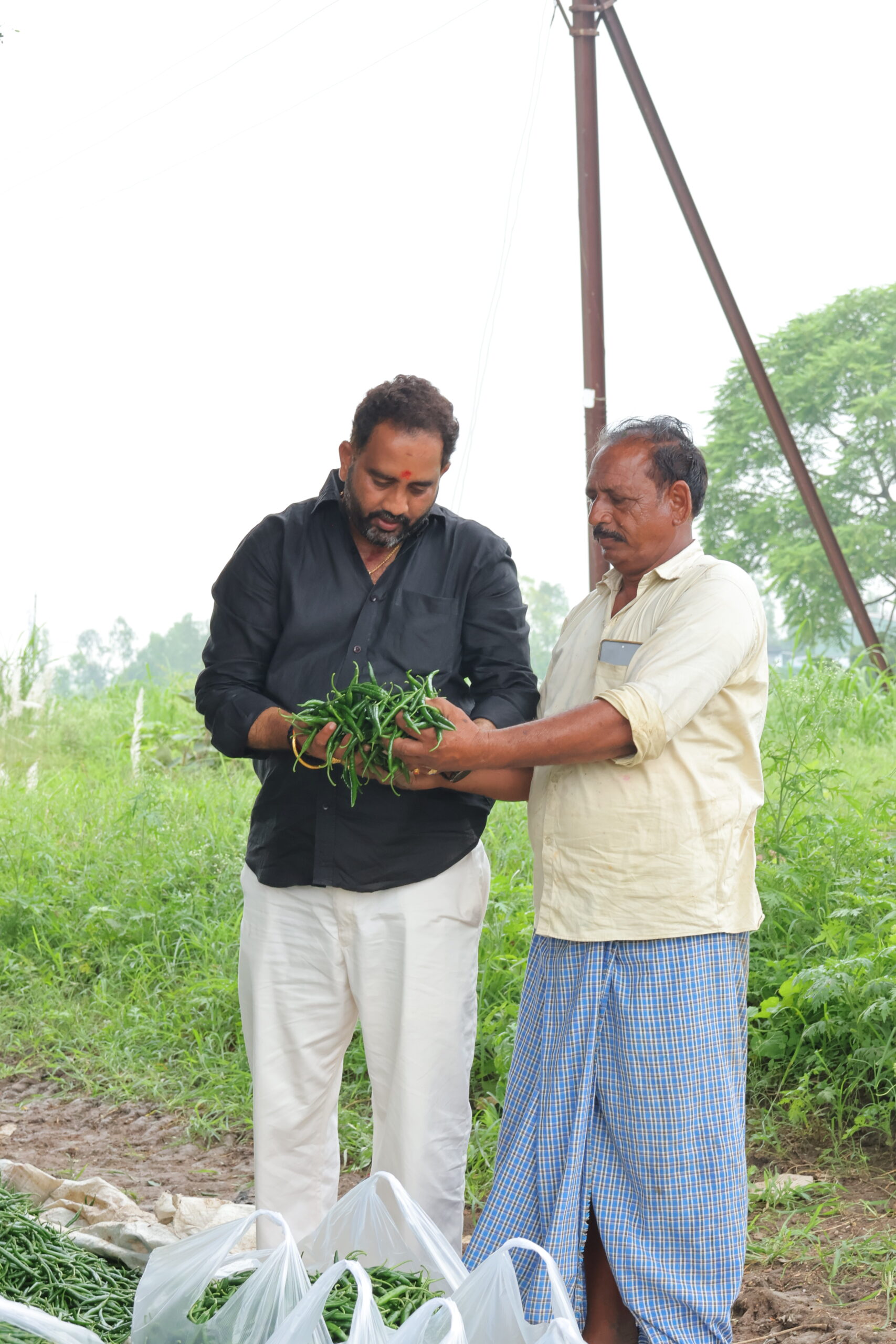SIVA SAI CROP PROTECTION