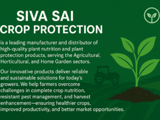 ChatGPT-Image-Dec-11-2025-10_03_12-AM