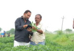 Sivasai Crop Protection – AB009