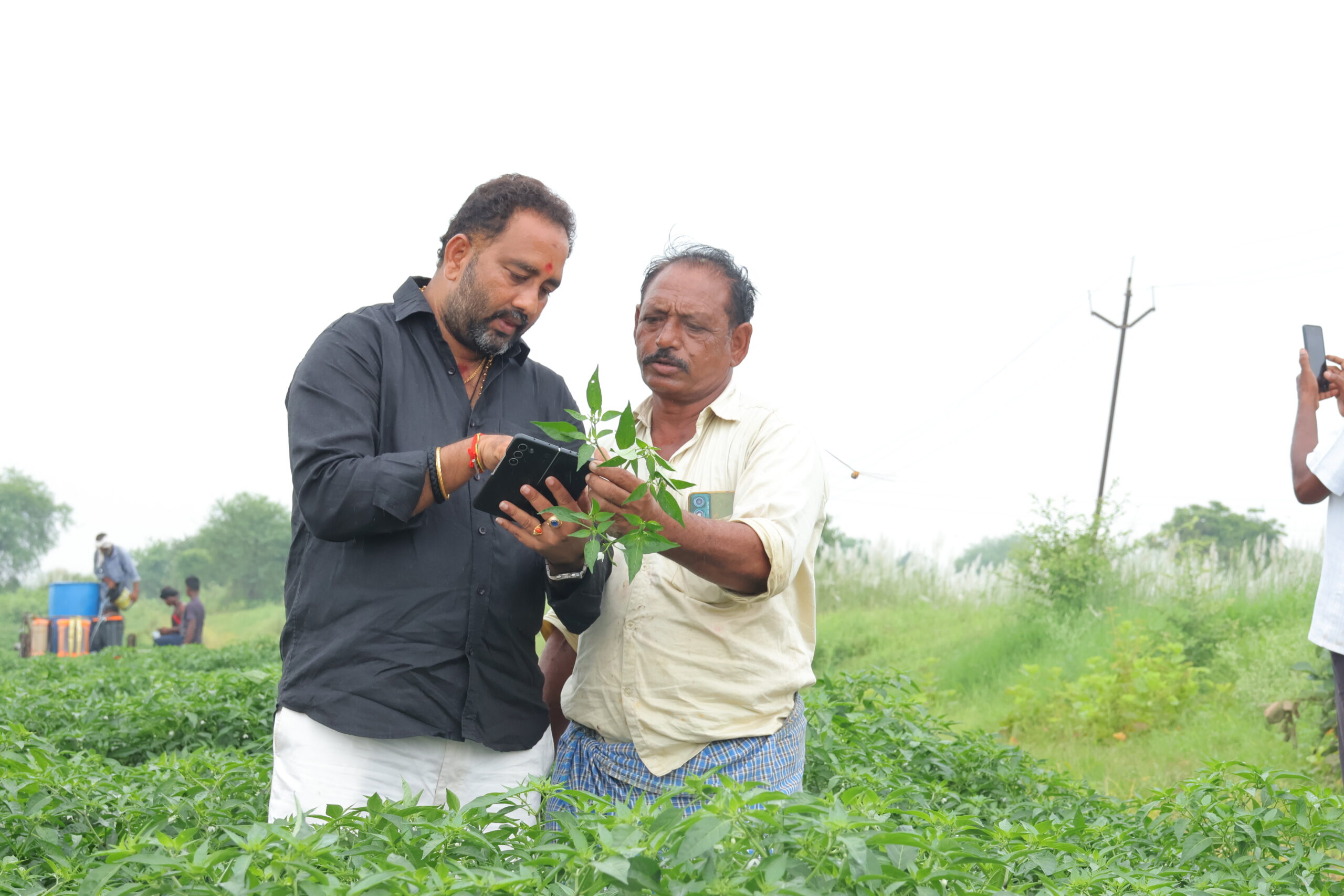 Sivasai Crop Protection – AB009