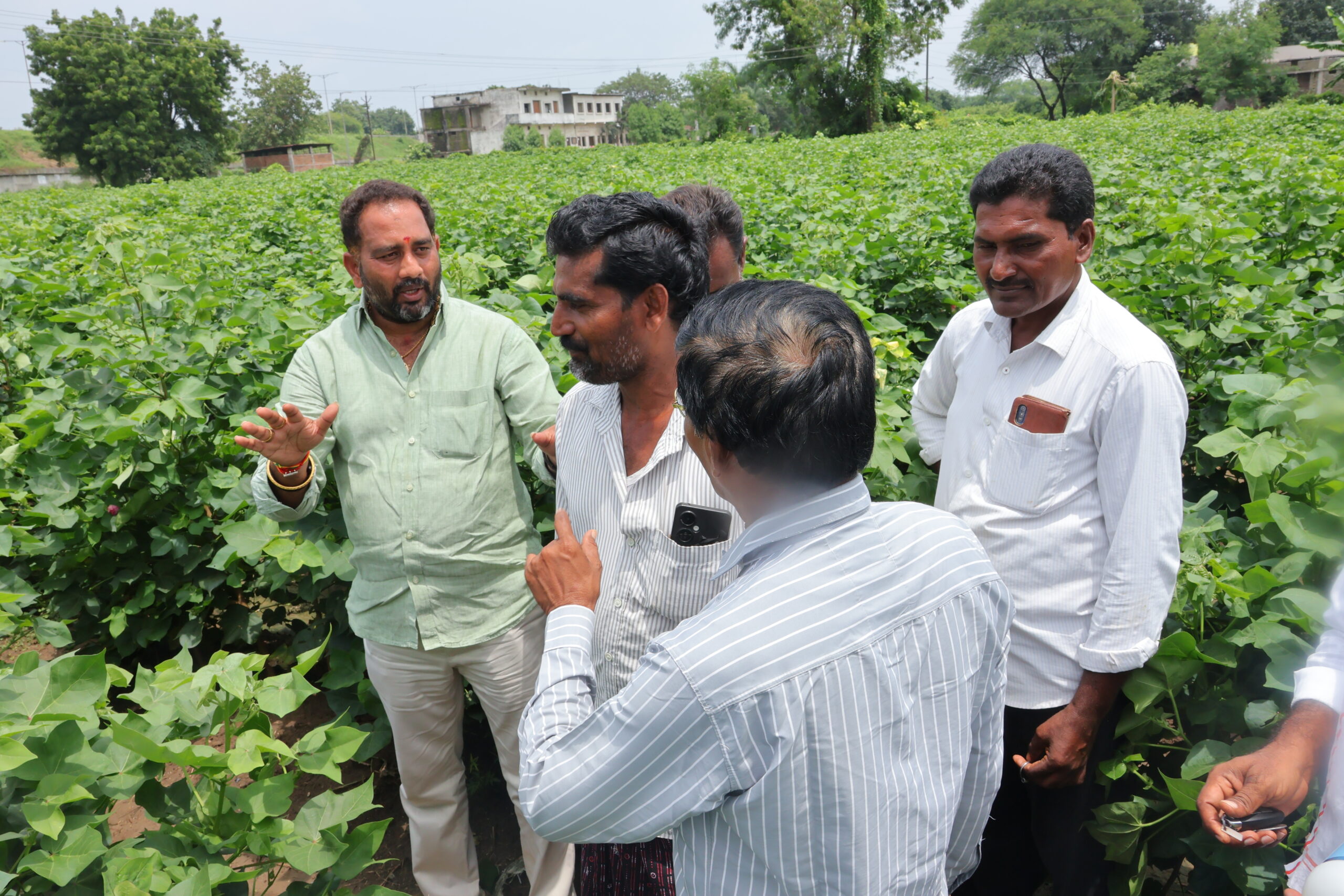 SIVA SAI CROP PROTECTION