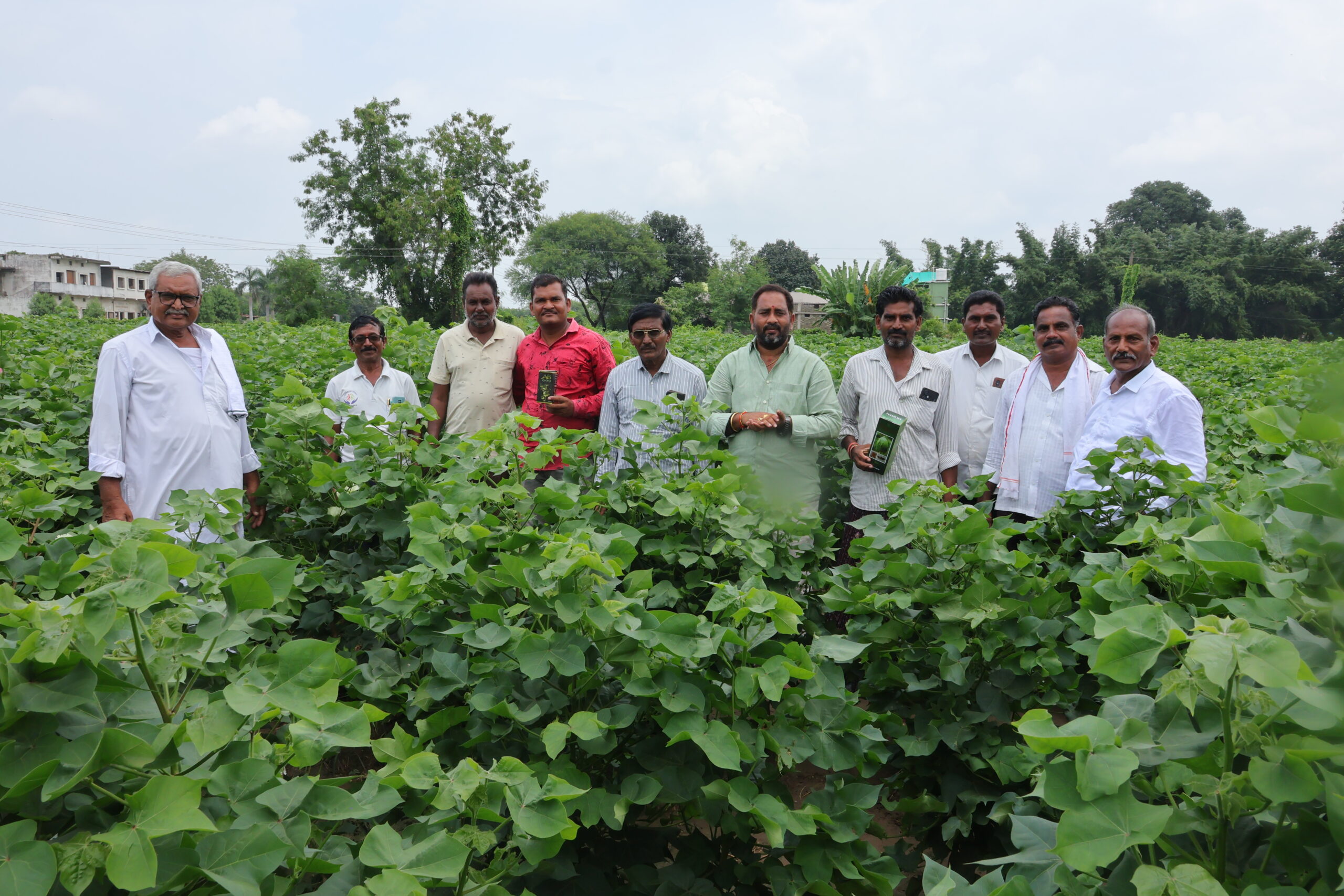 Pickup Plant Protection